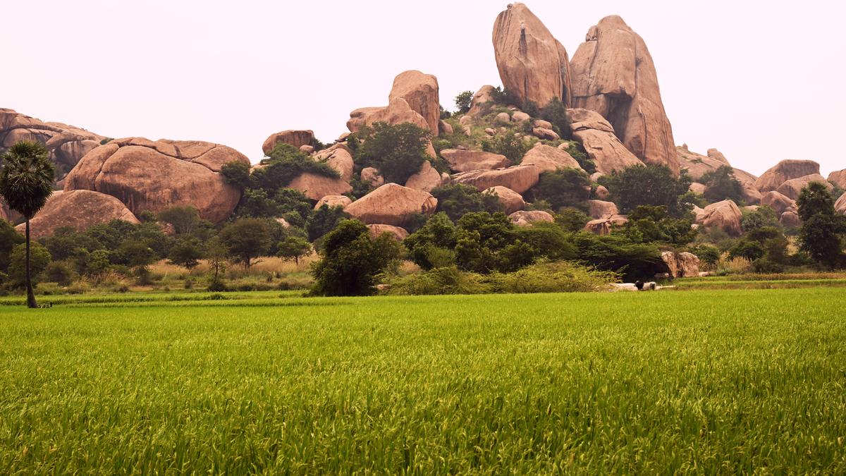 In Madurai, mining for tungsten and trouble